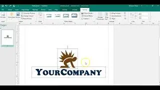 Microsoft Publisher 5 Minutes Tutorials, Tips & Tricks