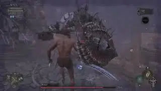 Lords of the Fallen - Ruiner - no damage