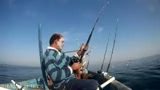 FIsh'nTac: Big mackerel caught on 28th Feb'16