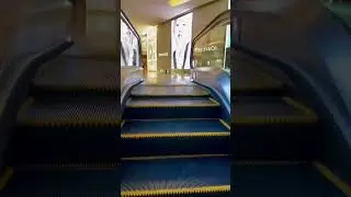 ROS&Eacute; FOR TIFFANY (TaiKoo Hui, Guangzhou, China)
