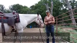 Groundwork exercises For Respect - enforce the stop on the lunge line