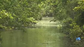 Foul stench in Virginia Beach neighborhood prompts investigation
