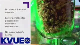 Texas legislators tackle marijuana proposals | KVUE