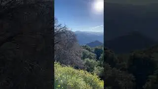 Unplug and Reconnect: Embrace Nature's Majestic Symphony!