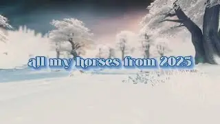 all my horses from 2025 I SSO