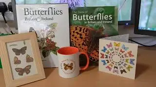 'How To Butterfly' by Matthew Greenwell, PhD Research Film Winner 2019