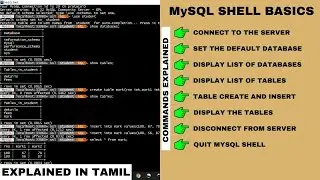 MySQL Shell Basic Commands Explained | Tamil | Code Screens