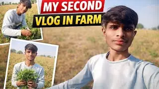 My second vlog in farm 🌾 || vloger shubham || #vlog 