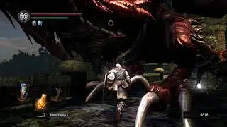 Dark Souls Hellkite Drake Fight