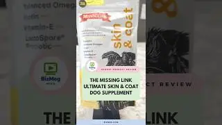 An honest review of The Missing Link Ultimate Skin & Coat Dog Supplement