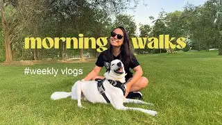 Morning spring walk with my dog | Nature sounds | Birds chirping | Sunny morning walk