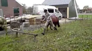 V131110 13 11