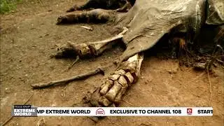 eREALITY | ROSS KEMP EXTREME WORLD