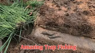 Amazing Hole Fish Trap- Smart Boy Build Fish Trap By Muddy soil.