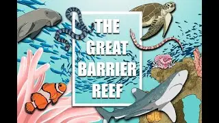 The Great Barrier Reef: A Natural Wonder
