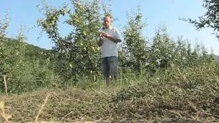 Organic fruit farm in Bulgaria