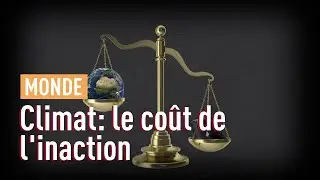 Le coût de l'inaction