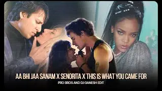 Aa Bhi Jaa Sanam x Senorita x This Is What You Came For (Pro Bros & Dj Ganesh Edit)