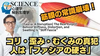 さとう式リンパケア・サイエンス28話『ファシア』Sato-Style Lymphatic Care Science Episode 28: 