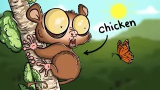 Why it sucks born as a Tarsier?