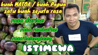 buah MATOA ada disini !! pasar induk kramatjati