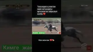 Легендарный Кок Мончок #улак #кокбору #horse