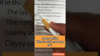 What does the Soil Contain। Shorts। Social science class online