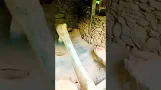 Traditional technology of water flow power rice Machine  #waterpower #waterflow #oldtechnology