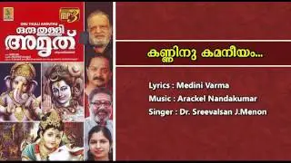 Kanninu kamaneeyam - a song from the album Oru Thulli Amruthu | Sung by Dr. Sreevalsan J.Menon