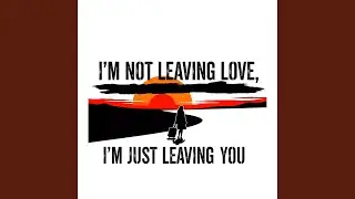 I'm not leaving love, I'm leaving you
