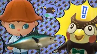 RETURN TO ANIMAL CROSSING !socials !member