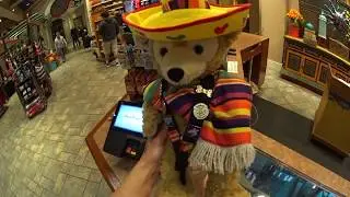Disney Vlog - Resort pin trading - Everything Disney Pins