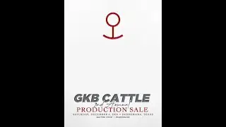 GKB Cattle - Brangus Production Sale