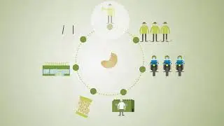 The Sustainable Nut Initiative (SNI)