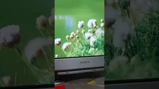 Analogue healing. 아날로그 힐링타임 with SONY GDM-F520 CRT monitor