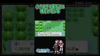 【ポケモンRS】草むらに埋もれる少年がかわいい【Pok&eacute;mon ルビー＆サファイア】