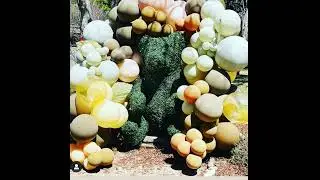 Exquisite Designs Events Planner DFW : Honey Bear Baby Shower