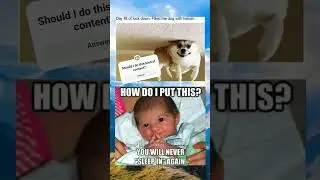 Daily dose of memes #music #memes #new