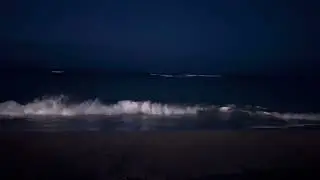 1 Hour of Ocean Sounds - Waikiki Beach Morning Waves for Sleep & Relaxation