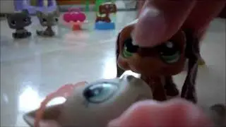 LPS || Love Story || Episode 7 Part 1
