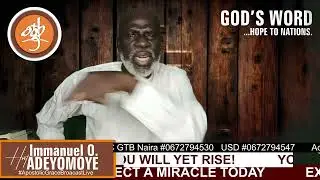You Will Yet RISE! 