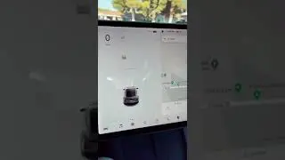 Tesla senses ghost near grave yard 👻