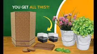 Unboxing the Pronto Seed Herb Duo Grow Kit | 2 Bucket Planters with Chives, Basil, Mint & Parsley