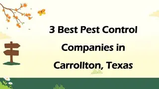 3 Best Pest Control Companies in Carrollton, Texas | Pest Extermination