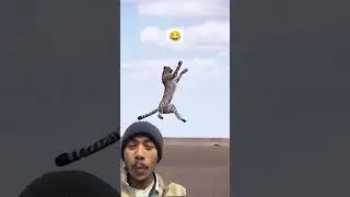 Cheetah vs Baby Ostrich 😳 | Real or Fake? 🧐 Extreme Wildlife Challenge Reaction