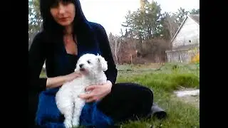Pisces New Moon Meditation- Kris Hart
