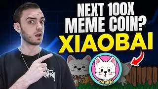 Next 100x Meme Coin? Why Xiaobai Could Be the Best Meme Coin of 2025