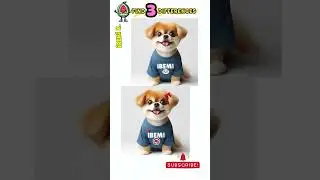 Find 3 differences '3 fark buldun mu' #subscribe #foryou #puzzle #puzzlegame
