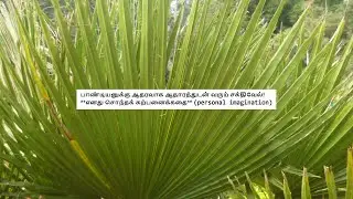 Pandian Stores 2 -Promo 29th December 2025 Promo 2 Prediction Review  #pandianstores Tamil