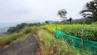 Vimalagiri road side view | Idukki tourist spots | Idukki hidden spot | Cheruthoni | Vimalagiri